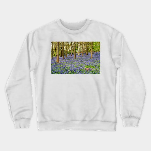 Bluebells Bluebell Woods Greys Court Oxfordshire UK Crewneck Sweatshirt by AndyEvansPhotos